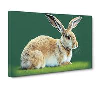 A Cute Rabbit Canvas Wall Art Print 30x20 Inch
