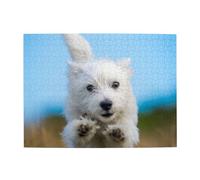 A Cute West Highland Terrier Puppy Running,500 Pieces Puzzles for Adults-Wooden Jigsaw Puzzle for Adults Elderly