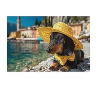 A dachshund enjoying the summer on Lake Garda in Italy，Puzzle 1000 Piece Jigsaw Puzzles for Adults, Difficult Puzzle for Kids Teenagers Educational Game Toys Gift for Home Travel（38x26cm）-AK30