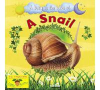 A Day in the Life of a Snail
