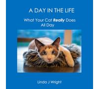 A DAY IN THE LIFE: What Your Cat Really Does All Day
