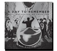 A Day To Remember - What Separates Me From You [VINYL]