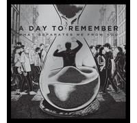 A Day To Remember - What Separates Me From You [VINYL]