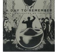 A Day To Remember - What Separates Me From You [VINYL]
