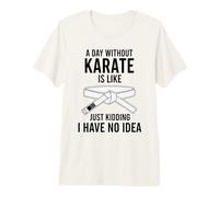 A Day Without Karate is Like Just Kidding I Have No Idea Premium T-Shirt