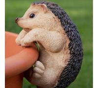 A Decorative Hedgehog Pot Hanger Ornament