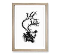 A Deer with Antlers Illustration in Black & Framed Wall Art Print A2 Oak