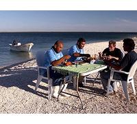 A Delicious Feast in Magdalena Bay