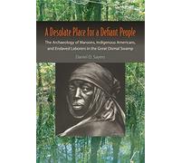 A Desolate Place for a Defiant People: The Archaeology of Maroons, Indigenous Americans, and Enslaved Laborers in the Great Dismal Swamp (Co-Published with the Society for Historical Archaeology)