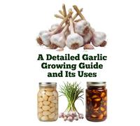 A Detailed Garlic Growing Guide and Its Uses