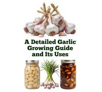 A Detailed Garlic Growing Guide and Its Uses