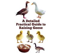 A Detailed Practical Guide to Raising Geese (The Detailed Homestead Flock Series)