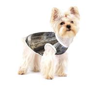 A dilapidated monastery Premium Dog Tshirt - Soft 100% Cotton Ropa Para Perros, Perfect for Small to Medium Dogs, Stylish and Comfortable Shirts for Dogs L