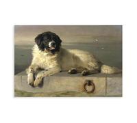 A Distinguished Member of The Humane Society Sir Edwin Henry Landseer Canvas Art Poster And Wall Art Picture Print Modern Family Bedroom Decor Unframe