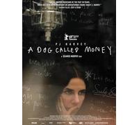 A Dog Called Money