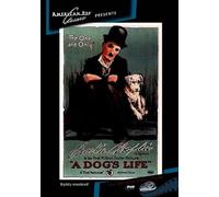A Dog's Life
