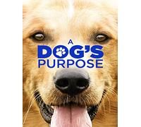 A Dog's Purpose