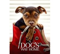 A Dog's Way Home