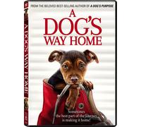 A Dog's Way Home (DVD) Ashley Judd Jonah Hauer-King Edward Olmos (US IMPORT)