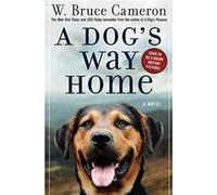 A Dog's Way Home: One Dog's Incredible Journey to Find Her Person