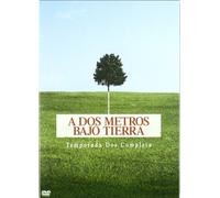 A Dos Metros Bajo Tierra 2ª Temporada (Import Dvd) (2004) Peter Krause; France