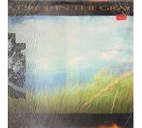 A DROP IN THE GRAY - Certain sculptures (1984/85) [VINYL]