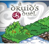 A Druid's Duel PC Steam CD Key