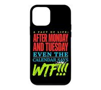 A Fact Of Life Sarcastic Irony Philosophy Meme Case for iPhone 12 mini