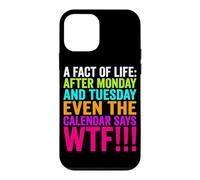 A Fact Of Life Sarcastic Irony Philosophy Meme Case for iPhone 12 mini