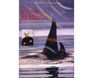 A Fall From Freedom: The Untold Story Behind the Captive Whale and Dophin Industry