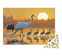 A Family of Red-crowned Cranes Puzzle 1000pcs (75x50cm) Erwachsene Sunset Background Puzzle,Home Decor