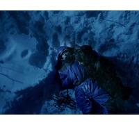 A Family's Deadly Dilemma