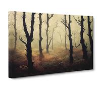 A Fanciful Forest Canvas Print | Gallery Wrapped 30mm Frame Wall Art | 30x20 inches | Ready to Hang | Contemporary Landscape Picture | Living Room Bedroom Lounge Office