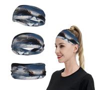 A Feather on the Snow Sports Headband for Men Women Wide Elastic Hair Bands Moisture Wicking Workout Sweatband Fashion Non Slip Head Bands Running Bandana for Yoga Fitness