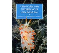 A Field Guide to the Nudibranchs of the British Isles