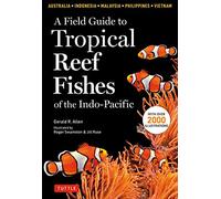A Field Guide to Tropical Reef Fishes of the Indo-Pacif - Paperback / softback N
