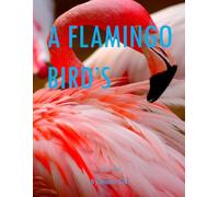 A Flamingo Bird’s: A Perfect Coffee Table Picture Book - Travel and Tourism lovers.