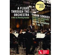 A Flight through the Orchestra