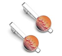 A Flock of Flamingos 2 Pcs Tie Clips for Men Necktie Tie Bar