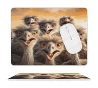 A Flock of Ostriches Mouse Pad Mouse Mat 10 X 8 Inch