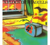 A Flock of Seagulls