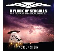 A Flock of Seagulls - Ascension