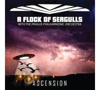 A Flock of Seagulls - Ascension