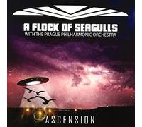 A Flock of Seagulls With Prague Philharmonic Orchestra Ascension CD ADAY035 NEW