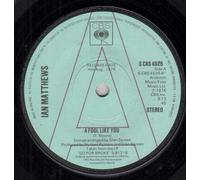 A Fool Like You