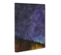 A Forest Beneath The Stars Canvas Print | Gallery Wrapped 30mm Frame Wall Art | 30x20 inches | Ready to Hang | Modern Space Picture | Living Room Bedroom Lounge Office
