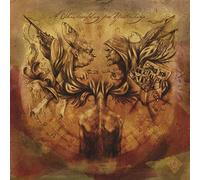 A Forest of Stars - A Shadowplay For Yesterdays [VINYL]