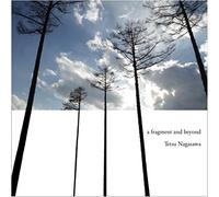a fragment and beyond