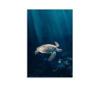 A Gentle Sea Turtle Floating Weightlessly Across A Deep Aquamarine Backdrop, Flippers Brushing Unseen Underwater Breezes. Fashionable Wall Decor - Hanging Art Poster And Mural12x18inch(30x45cm)