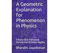 A Geometric Explanation for Phenomenon in Physics: A Brane-Bulk Framework Derived from Octonion Algebra